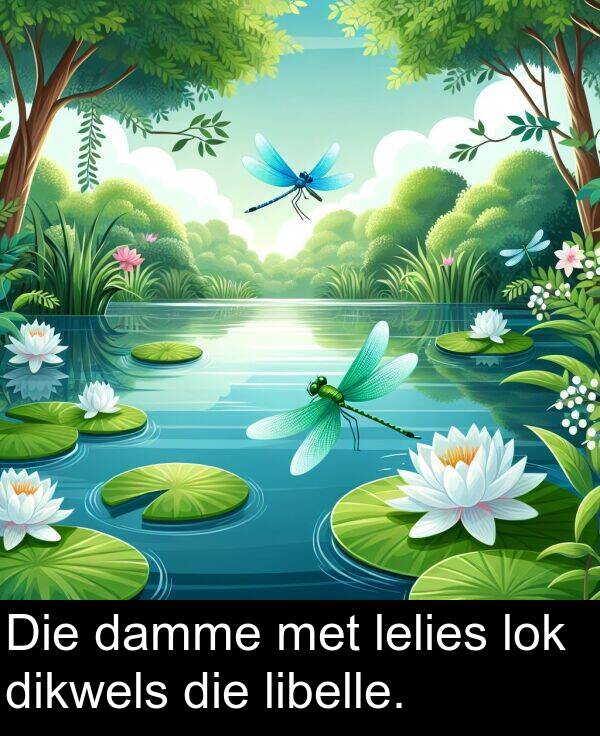 damme: Die damme met lelies lok dikwels die libelle.