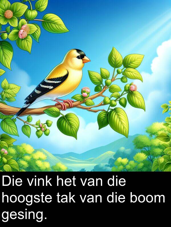 hoogste: Die vink het van die hoogste tak van die boom gesing.