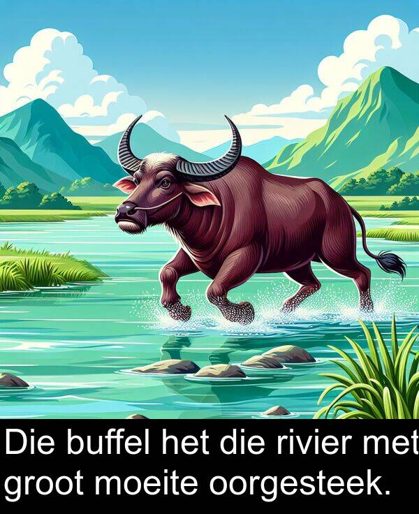 moeite: Die buffel het die rivier met groot moeite oorgesteek.