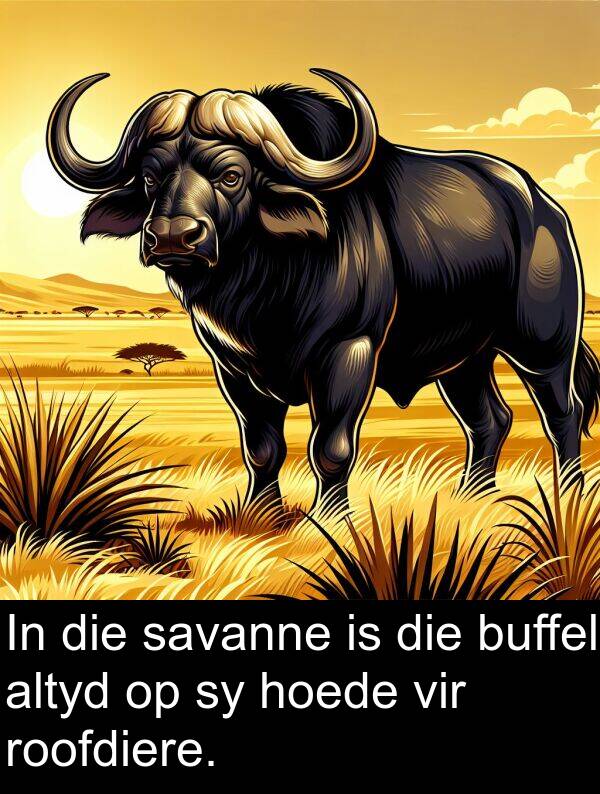 hoede: In die savanne is die buffel altyd op sy hoede vir roofdiere.