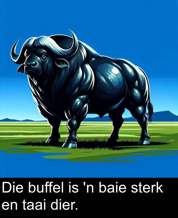 baie: Die buffel is 'n baie sterk en taai dier.