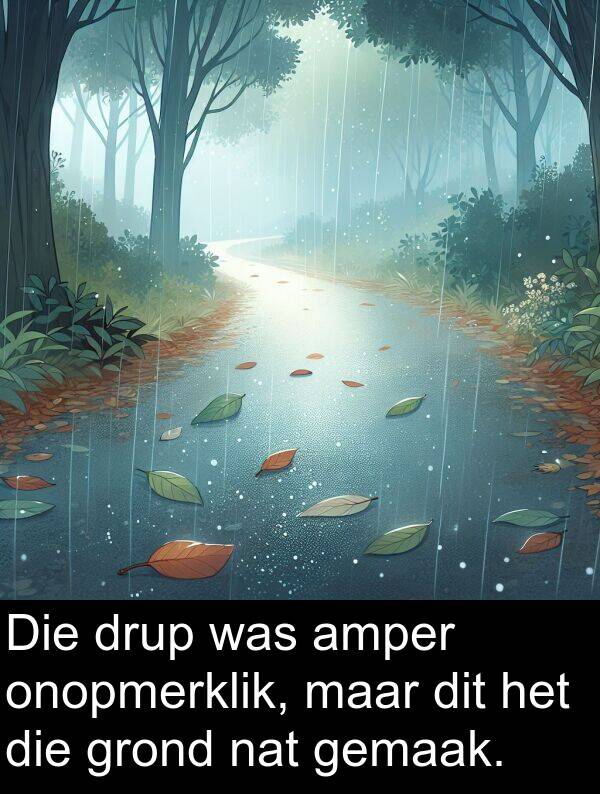 nat: Die drup was amper onopmerklik, maar dit het die grond nat gemaak.