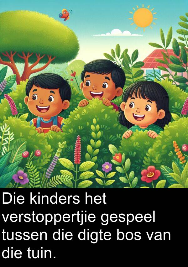 tuin: Die kinders het verstoppertjie gespeel tussen die digte bos van die tuin.