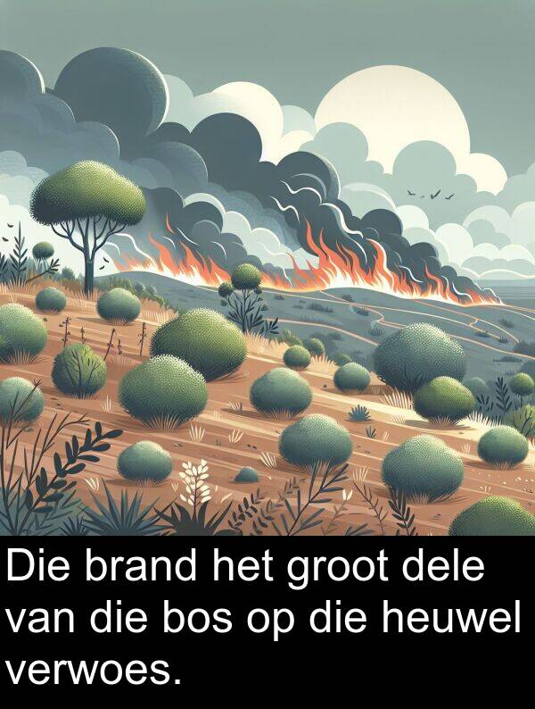 heuwel: Die brand het groot dele van die bos op die heuwel verwoes.