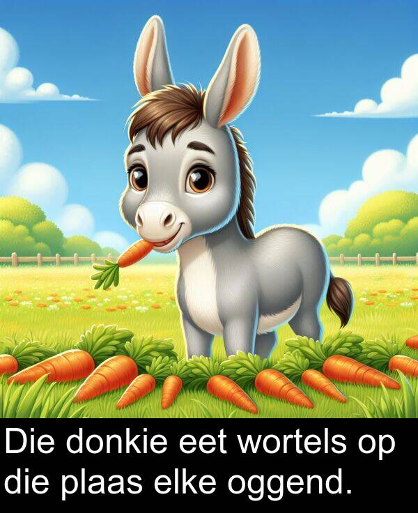 plaas: Die donkie eet wortels op die plaas elke oggend.