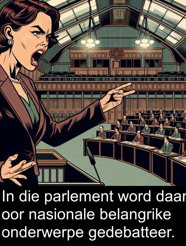 parlement: In die parlement word daar oor nasionale belangrike onderwerpe gedebatteer.