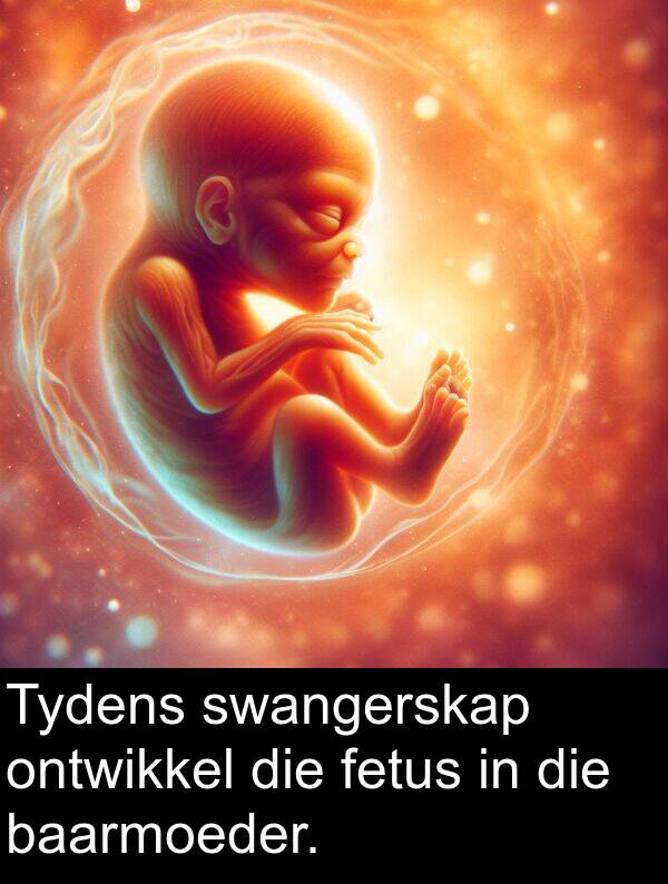 fetus: Tydens swangerskap ontwikkel die fetus in die baarmoeder.