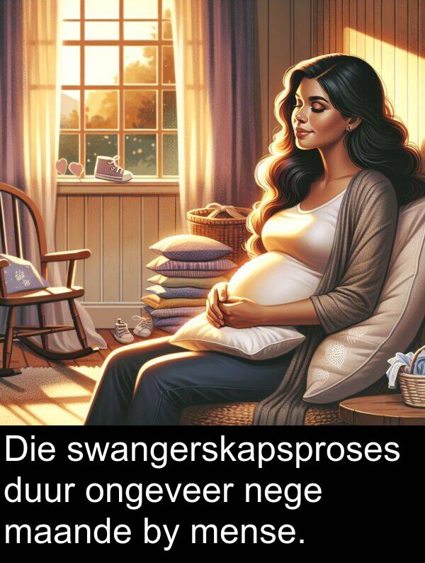 nege: Die swangerskapsproses duur ongeveer nege maande by mense.