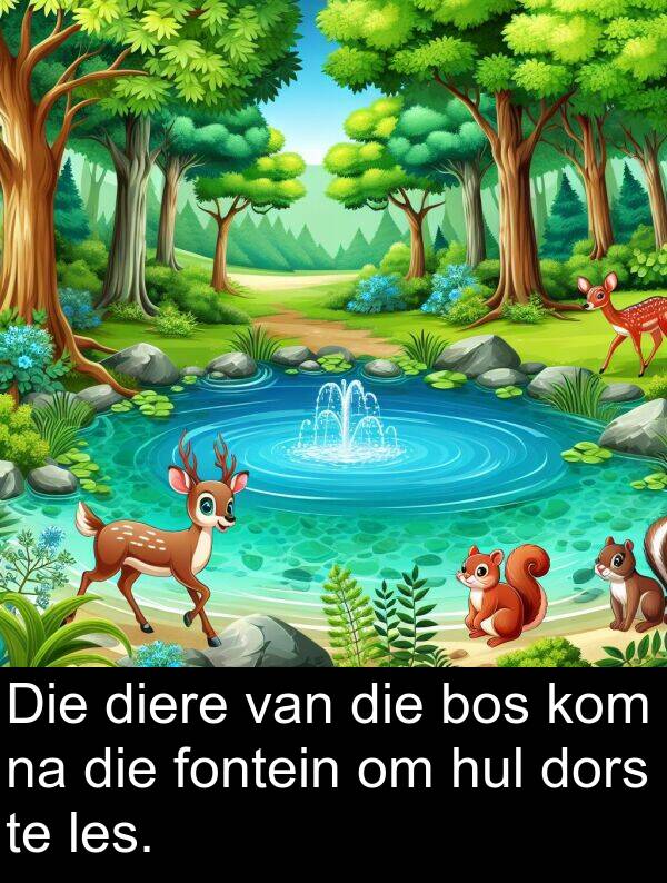 fontein: Die diere van die bos kom na die fontein om hul dors te les.