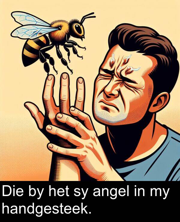 handgesteek: Die by het sy angel in my handgesteek.