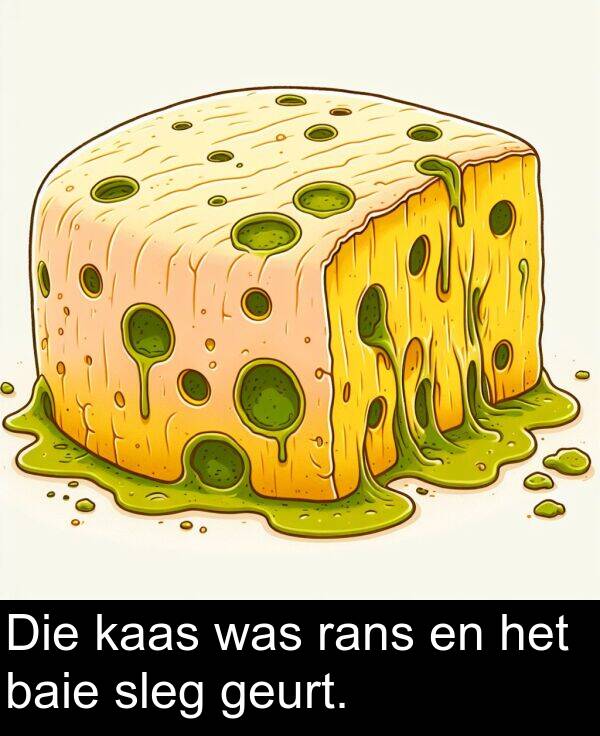 baie: Die kaas was rans en het baie sleg geurt.