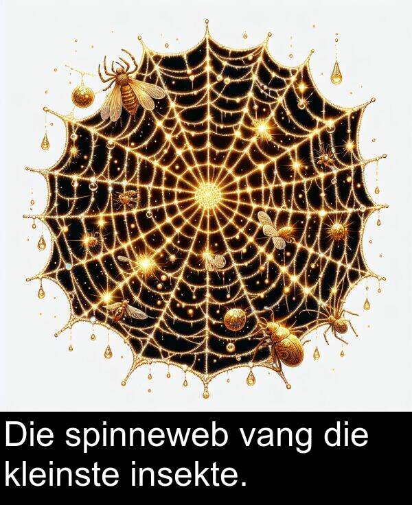 vang: Die spinneweb vang die kleinste insekte.