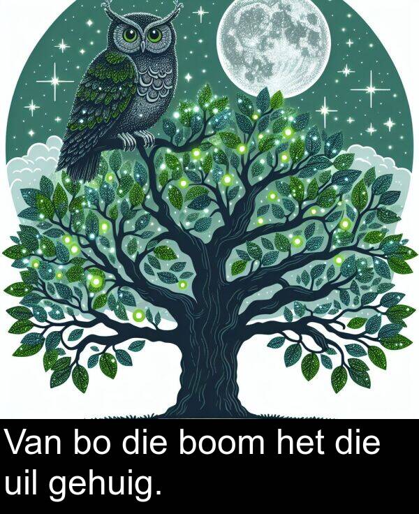 het: Van bo die boom het die uil gehuig.