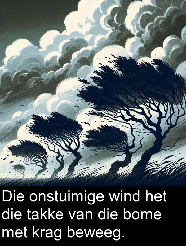 takke: Die onstuimige wind het die takke van die bome met krag beweeg.