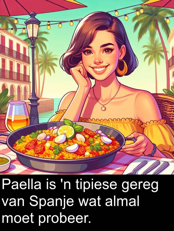 tipiese: Paella is 'n tipiese gereg van Spanje wat almal moet probeer.