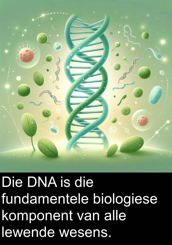 fundamentele: Die DNA is die fundamentele biologiese komponent van alle lewende wesens.