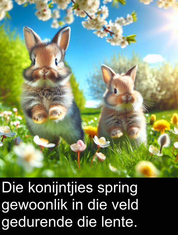 gedurende: Die konijntjies spring gewoonlik in die veld gedurende die lente.