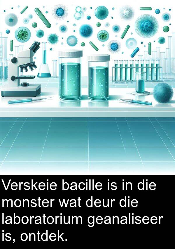 geanaliseer: Verskeie bacille is in die monster wat deur die laboratorium geanaliseer is, ontdek.