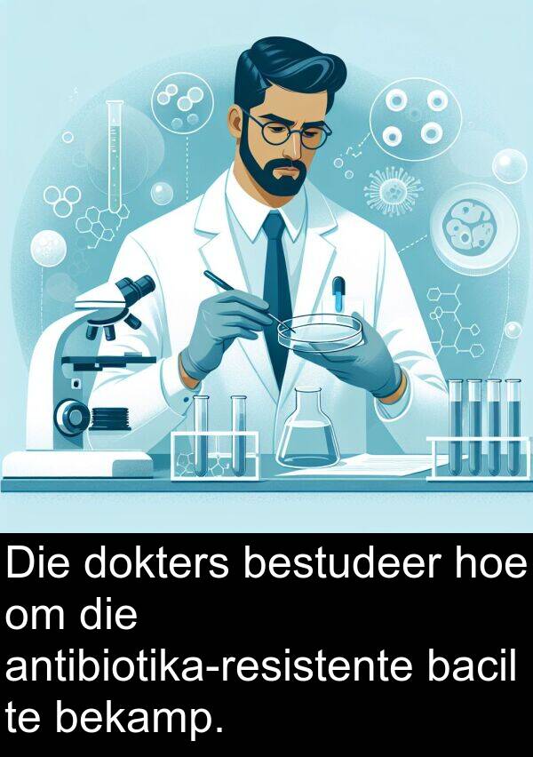 bestudeer: Die dokters bestudeer hoe om die antibiotika-resistente bacil te bekamp.