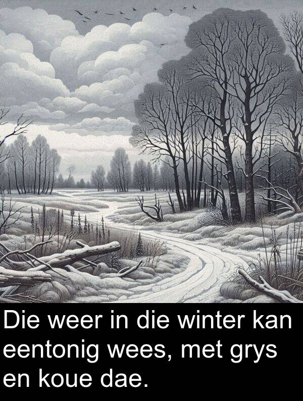 weer: Die weer in die winter kan eentonig wees, met grys en koue dae.