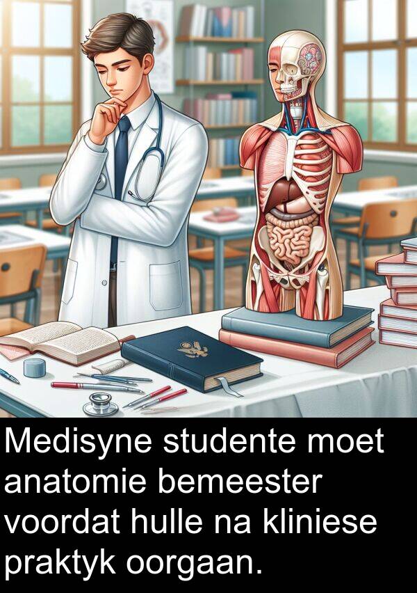 praktyk: Medisyne studente moet anatomie bemeester voordat hulle na kliniese praktyk oorgaan.