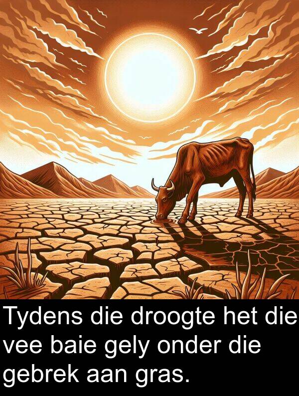 gebrek: Tydens die droogte het die vee baie gely onder die gebrek aan gras.