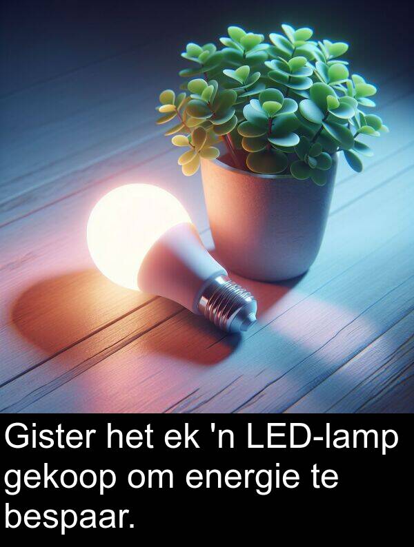 gekoop: Gister het ek 'n LED-lamp gekoop om energie te bespaar.