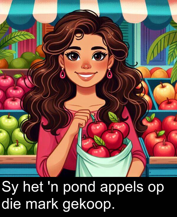 pond: Sy het 'n pond appels op die mark gekoop.