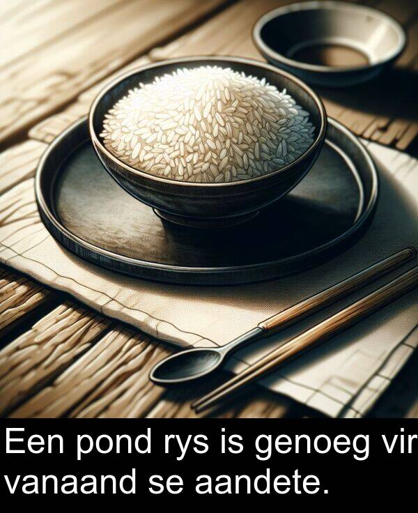 pond: Een pond rys is genoeg vir vanaand se aandete.