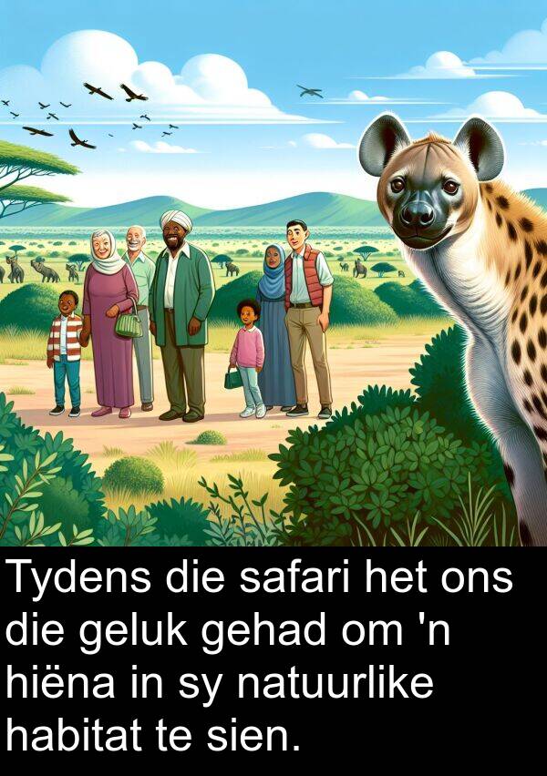 hiëna: Tydens die safari het ons die geluk gehad om 'n hiëna in sy natuurlike habitat te sien.