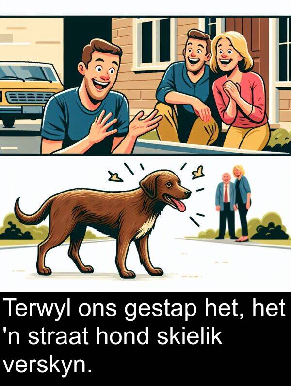 hond: Terwyl ons gestap het, het 'n straat hond skielik verskyn.