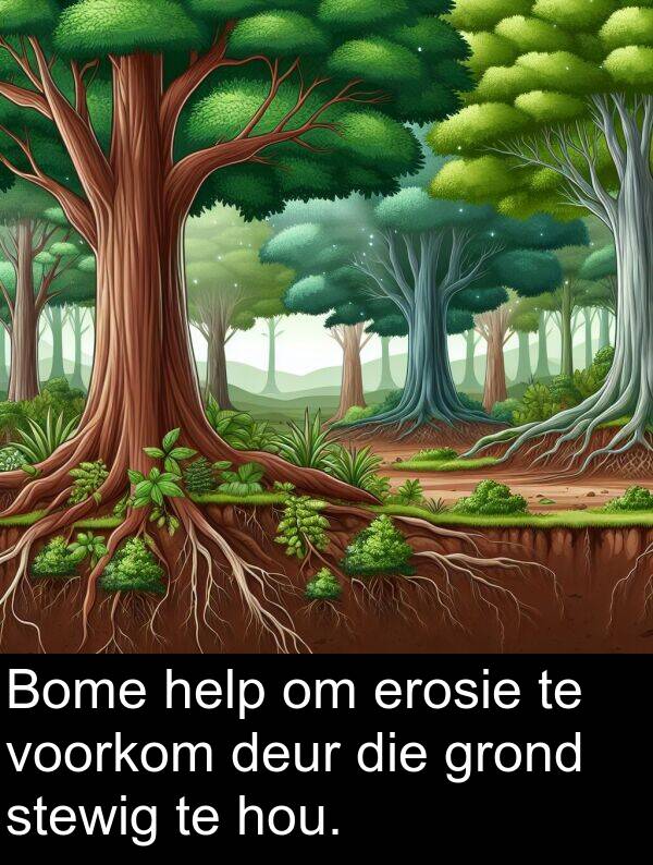 help: Bome help om erosie te voorkom deur die grond stewig te hou.