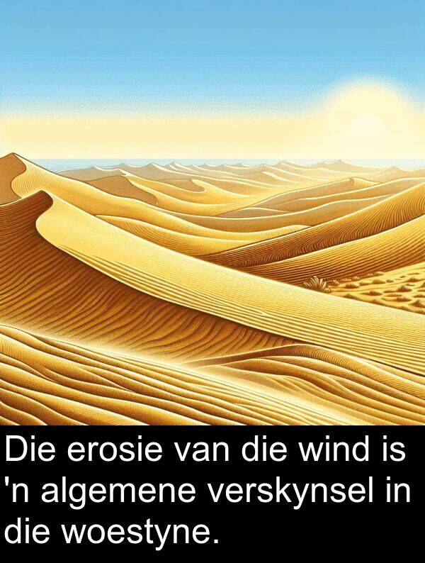 wind: Die erosie van die wind is 'n algemene verskynsel in die woestyne.