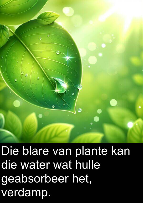 hulle: Die blare van plante kan die water wat hulle geabsorbeer het, verdamp.