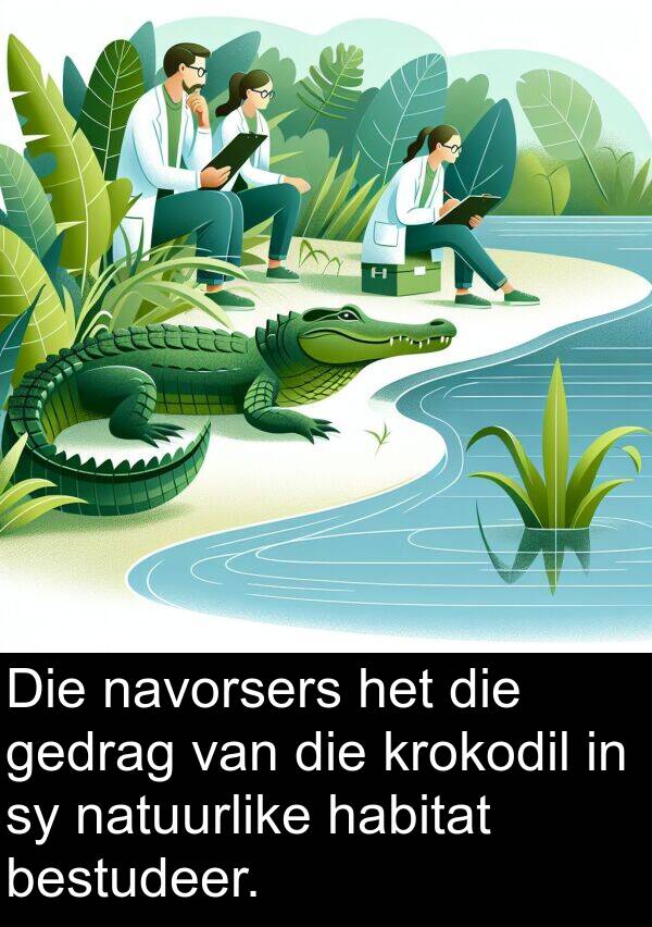 gedrag: Die navorsers het die gedrag van die krokodil in sy natuurlike habitat bestudeer.