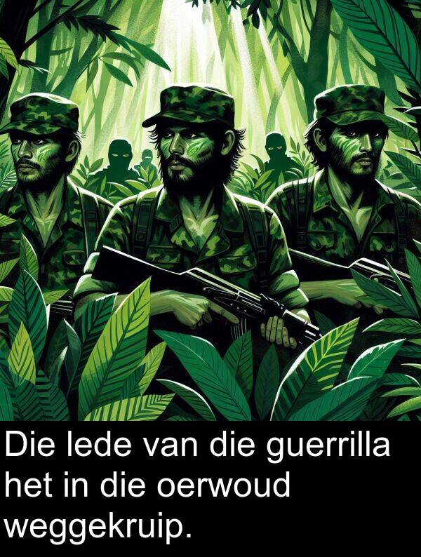 oerwoud: Die lede van die guerrilla het in die oerwoud weggekruip.