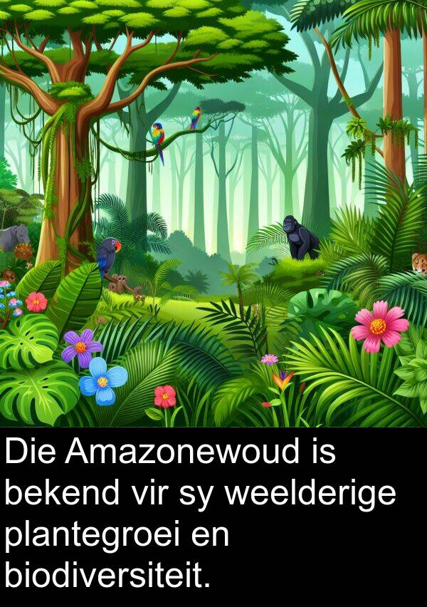 plantegroei: Die Amazonewoud is bekend vir sy weelderige plantegroei en biodiversiteit.