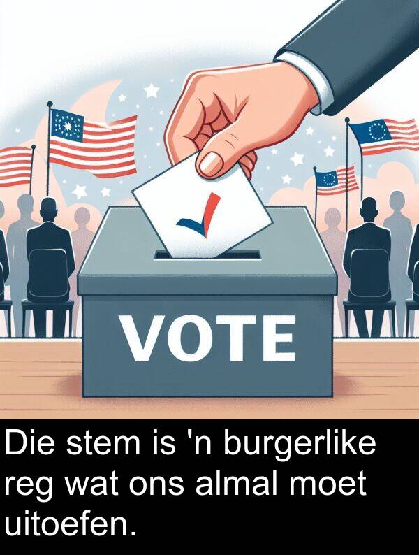 reg: Die stem is 'n burgerlike reg wat ons almal moet uitoefen.