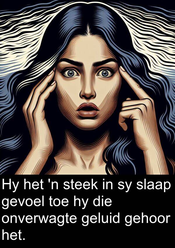 gehoor: Hy het 'n steek in sy slaap gevoel toe hy die onverwagte geluid gehoor het.