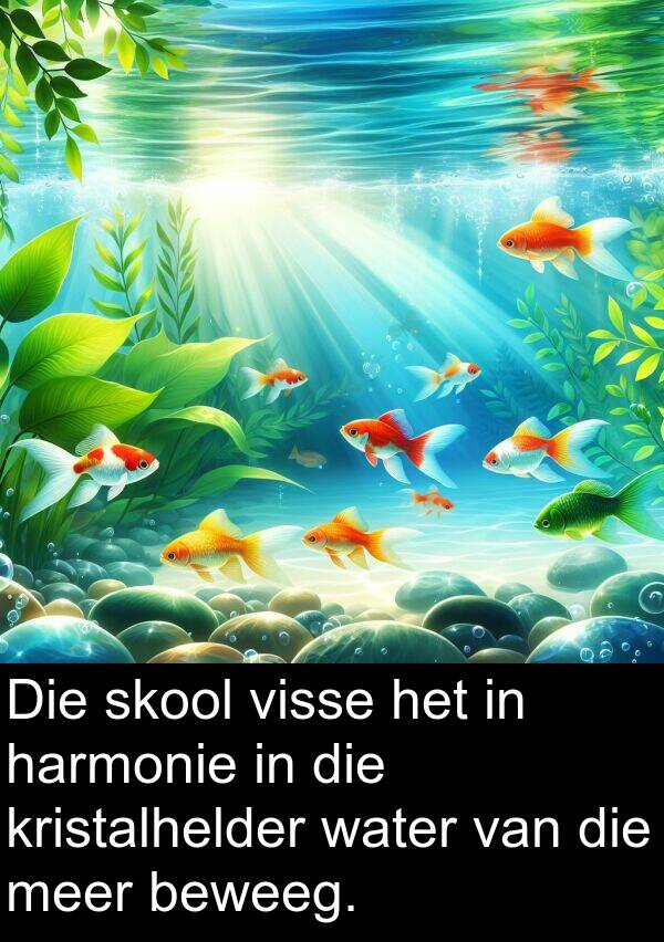 harmonie: Die skool visse het in harmonie in die kristalhelder water van die meer beweeg.