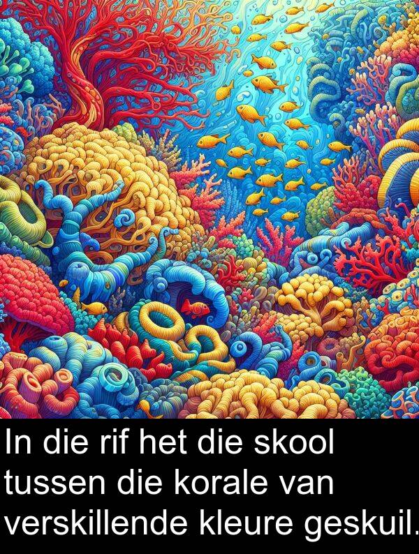 skool: In die rif het die skool tussen die korale van verskillende kleure geskuil.