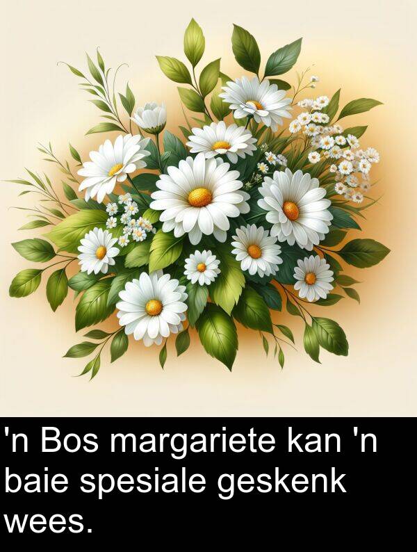 kan: 'n Bos margariete kan 'n baie spesiale geskenk wees.