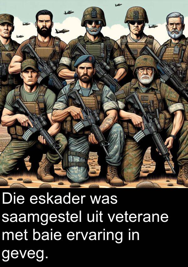 uit: Die eskader was saamgestel uit veterane met baie ervaring in geveg.