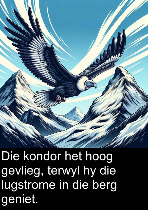 hoog: Die kondor het hoog gevlieg, terwyl hy die lugstrome in die berg geniet.