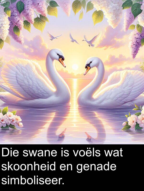 skoonheid: Die swane is voëls wat skoonheid en genade simboliseer.