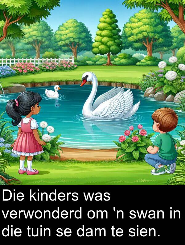 tuin: Die kinders was verwonderd om 'n swan in die tuin se dam te sien.