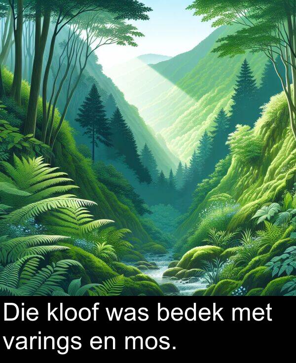 bedek: Die kloof was bedek met varings en mos.