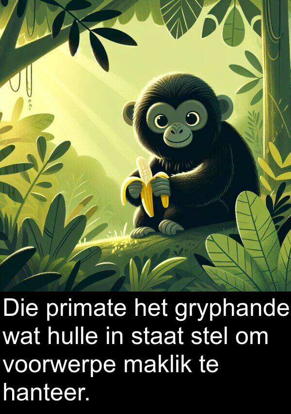 primate: Die primate het gryphande wat hulle in staat stel om voorwerpe maklik te hanteer.