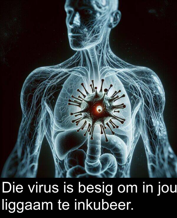 jou: Die virus is besig om in jou liggaam te inkubeer.