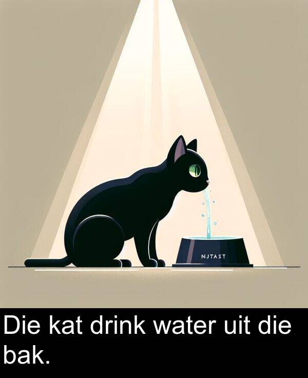 bak: Die kat drink water uit die bak.